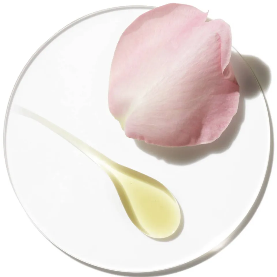 Clinique Aromatics Eau de Parfum - 25 ml, foto 5