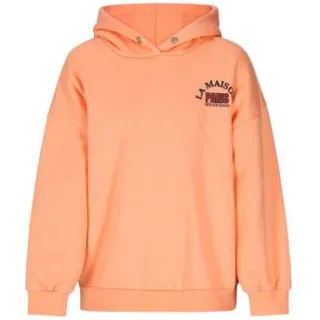 Retour Jeans oversized hoodie met backprint - oranjeroze Sweater Backprint