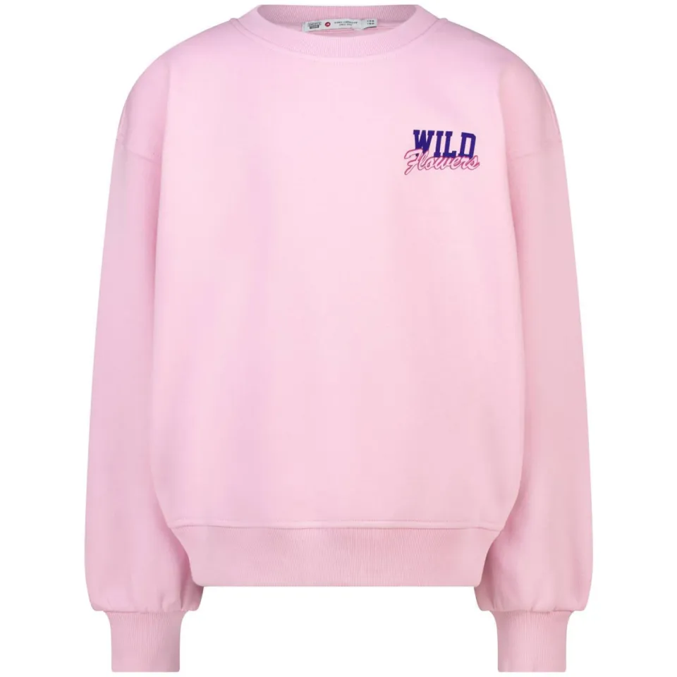 America Today sweater met backprint - roze, foto 5