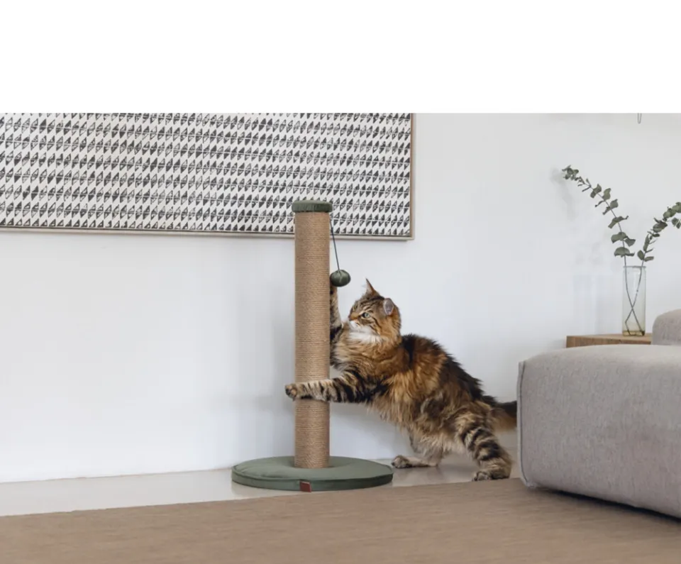 Designed by Lotte Yenna krabpaal groen, foto 2