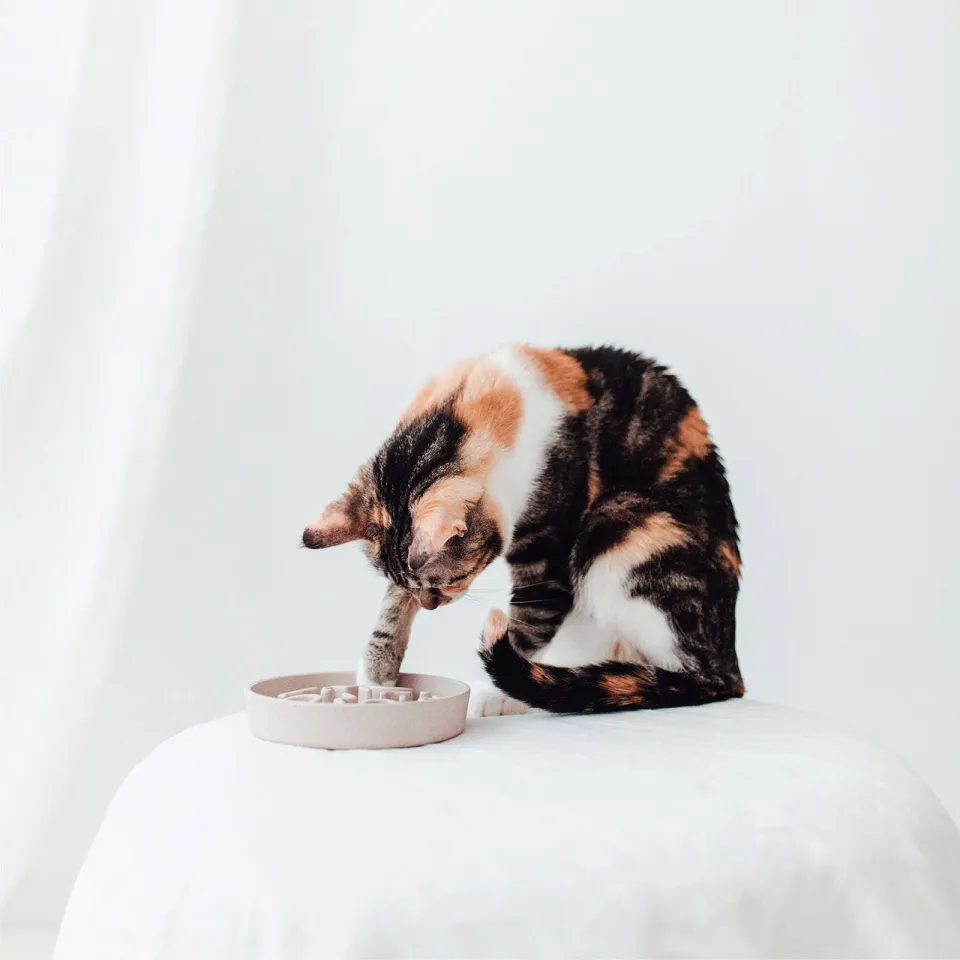 District 70 kattenvoerbak BAMBOO Cat Slow Feeder - ø 13,5 cm - Merengue, foto 4