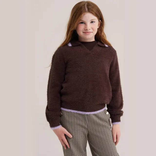WE Fashion gebreide trui - donkerbruin/lila