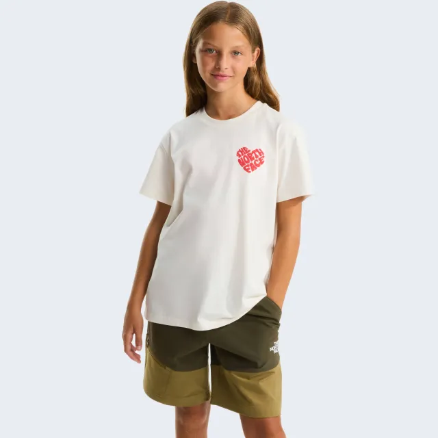 The North Face Brand Proud t-shirt wit