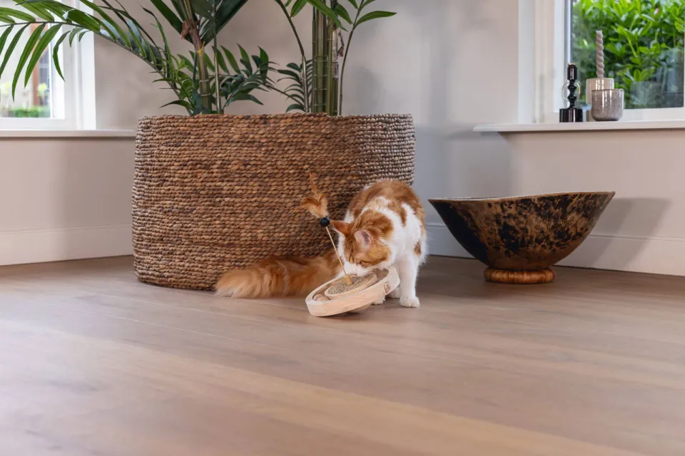Designed by Lotte Winni kattenspeelgoed hout bruin, foto 4