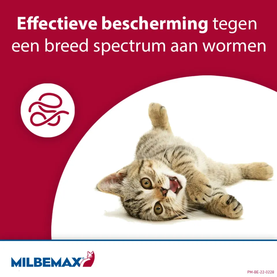 Milbemax Ontworming Tabletten Kat/Kitten 0,5 - 2 kg 2 tabletten, foto 5