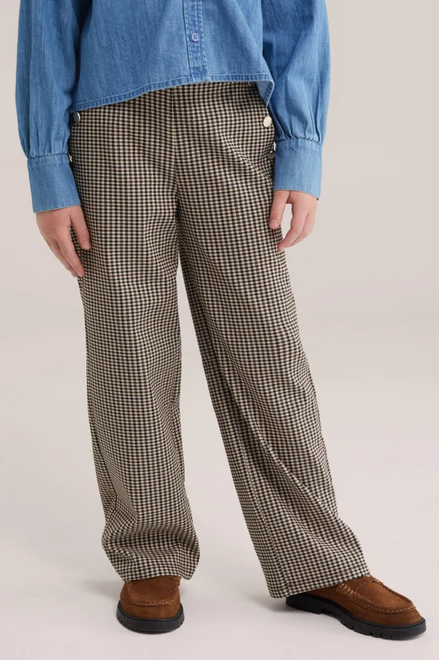 WE Fashion loose fit casual geruite broek bruin, foto 3