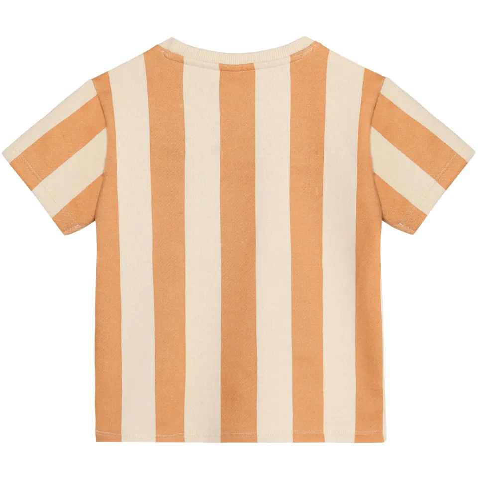 Daily7 gestreept t-shirt bruin, foto 3