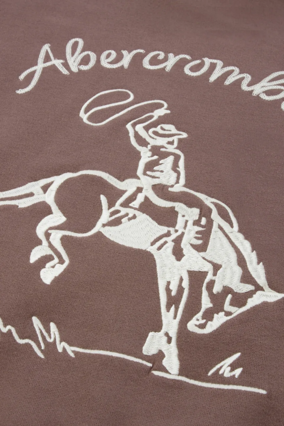 Abercrombie & Fitch hoodie met backprint - bruin, foto 8