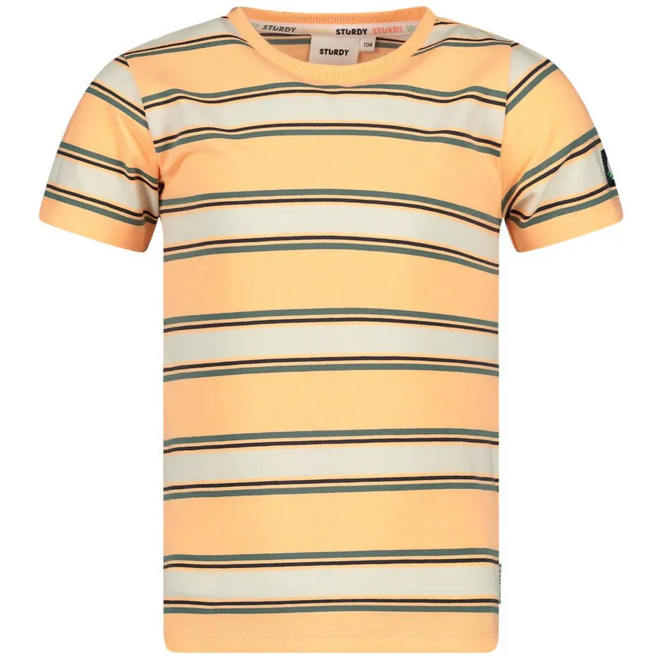 Sturdy Lagoon Legends gestreept t-shirt oranje, foto 2