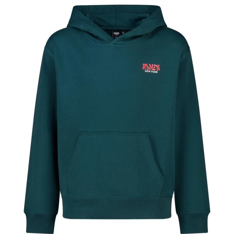 America Today hoodie met backprint - groen/rood, foto 2