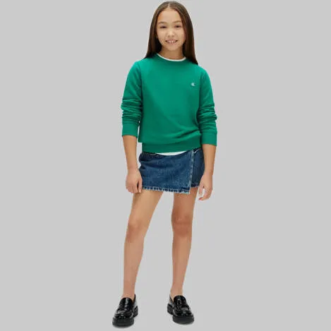 Calvin Klein sweater groen, foto 3