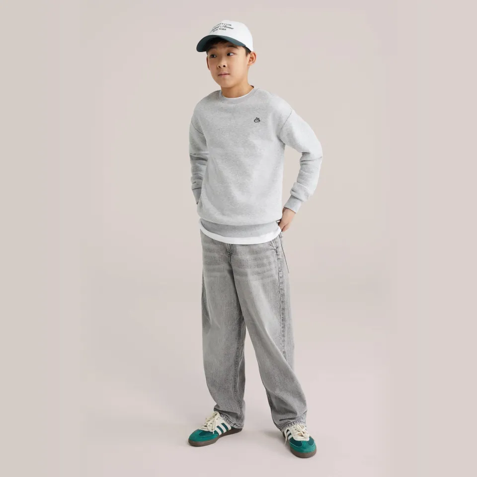 WE Fashion Blue Ridge baggy jeans - grey denim