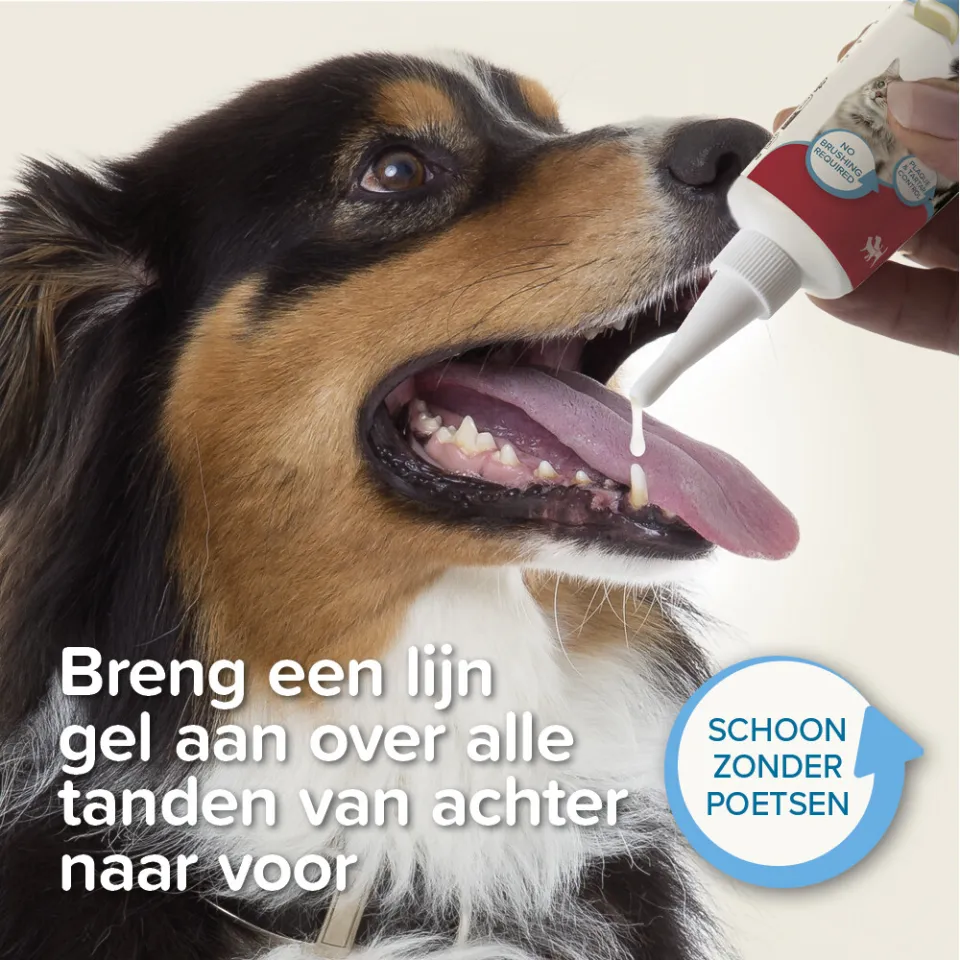 Beaphar tandgel voor hond en kat, foto 6