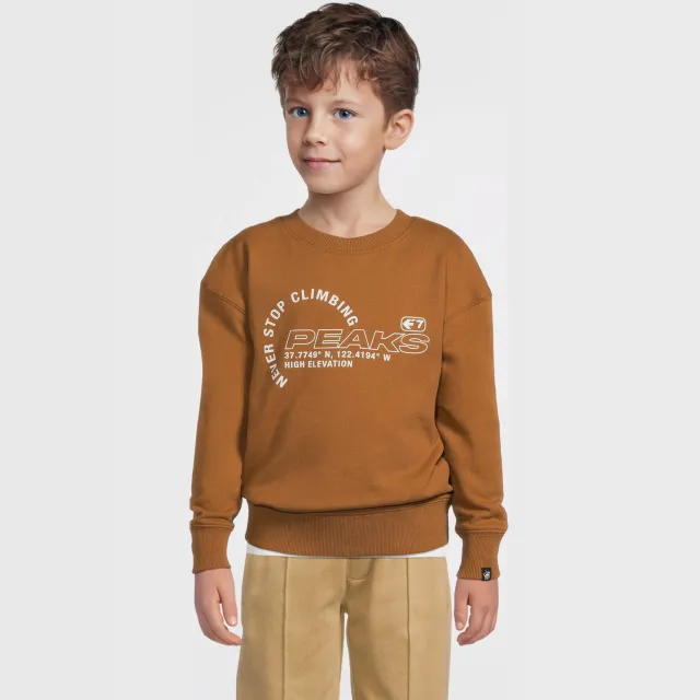 Me & My Monkey sweater met printopdruk bruin