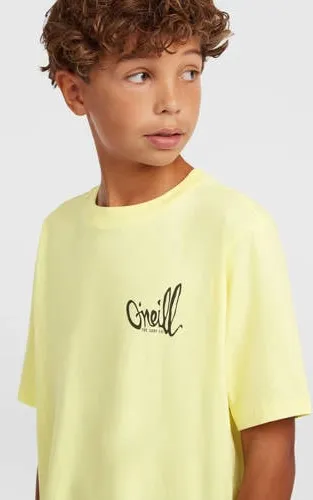 O'Neill T-shirt geel, foto 5