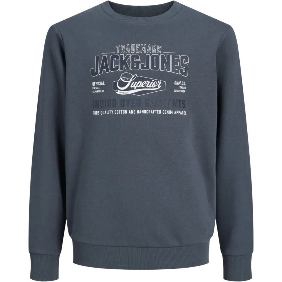 Jack & Jones JUNIOR sweater met logo - grijsblauw, foto 2
