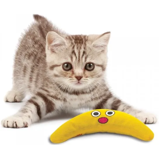 Petstages Catnip Boomerang Buddy Per stuk