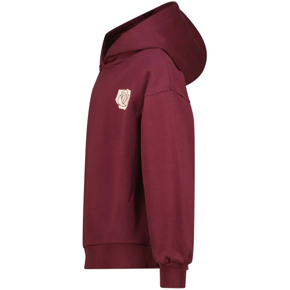 Raizzed boxy hoodie met backprint - donkerrood, foto 5
