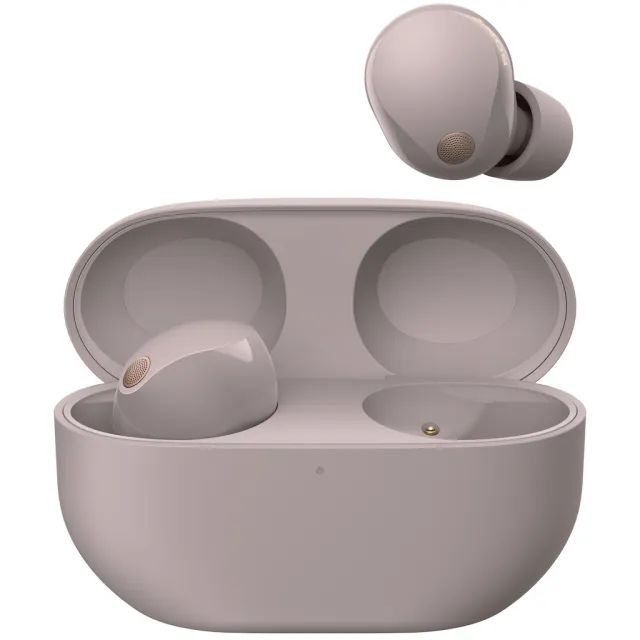 Sony WF-1000XM5 In-ear oordopjes Roze