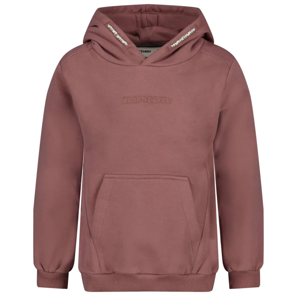 Sturdy hoodie Rock the Earth - mauve, foto 2