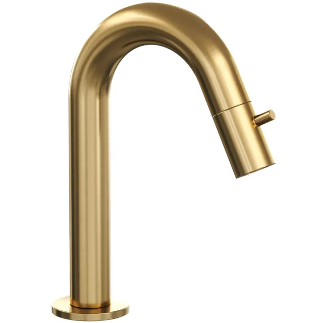 Brauer Opbouw Fonteinkraan Brauer Gold Edition Met Gebogen Uitloop Goud Geborsteld PVD