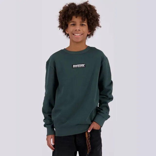 Raizzed rechtvallende sweater met logo - donkergroen