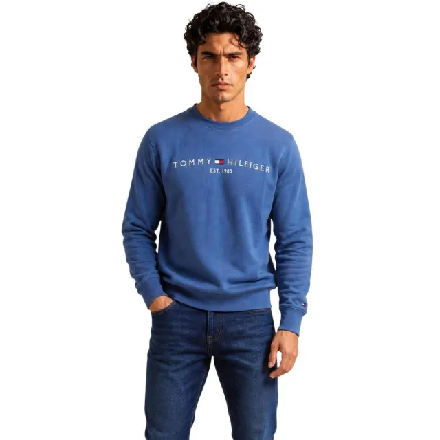 Sweater Tommy Hilfiger MW0MW11596 aegean sea
