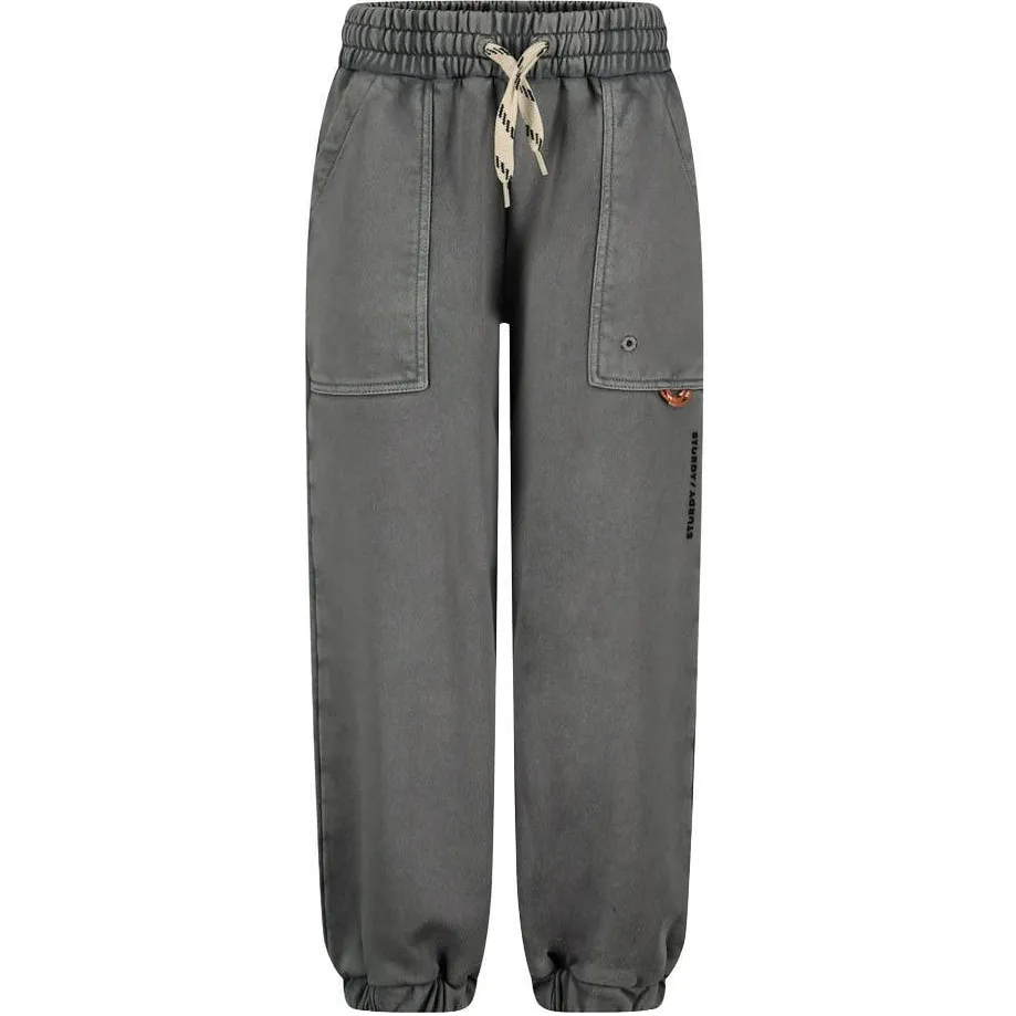 Sturdy Mountain top joggingbroek grijs, foto 3