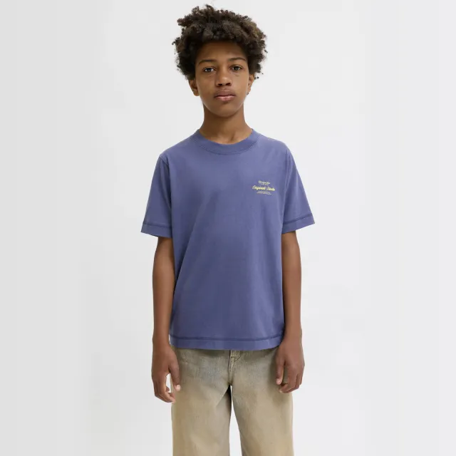 Jack & Jones JORNORREBRO T-shirt met print blauw