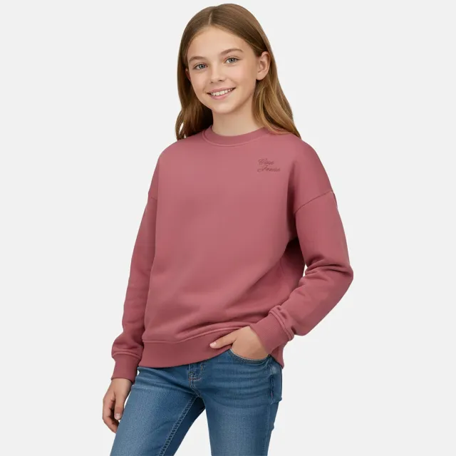 Cars sweater met logo - roze