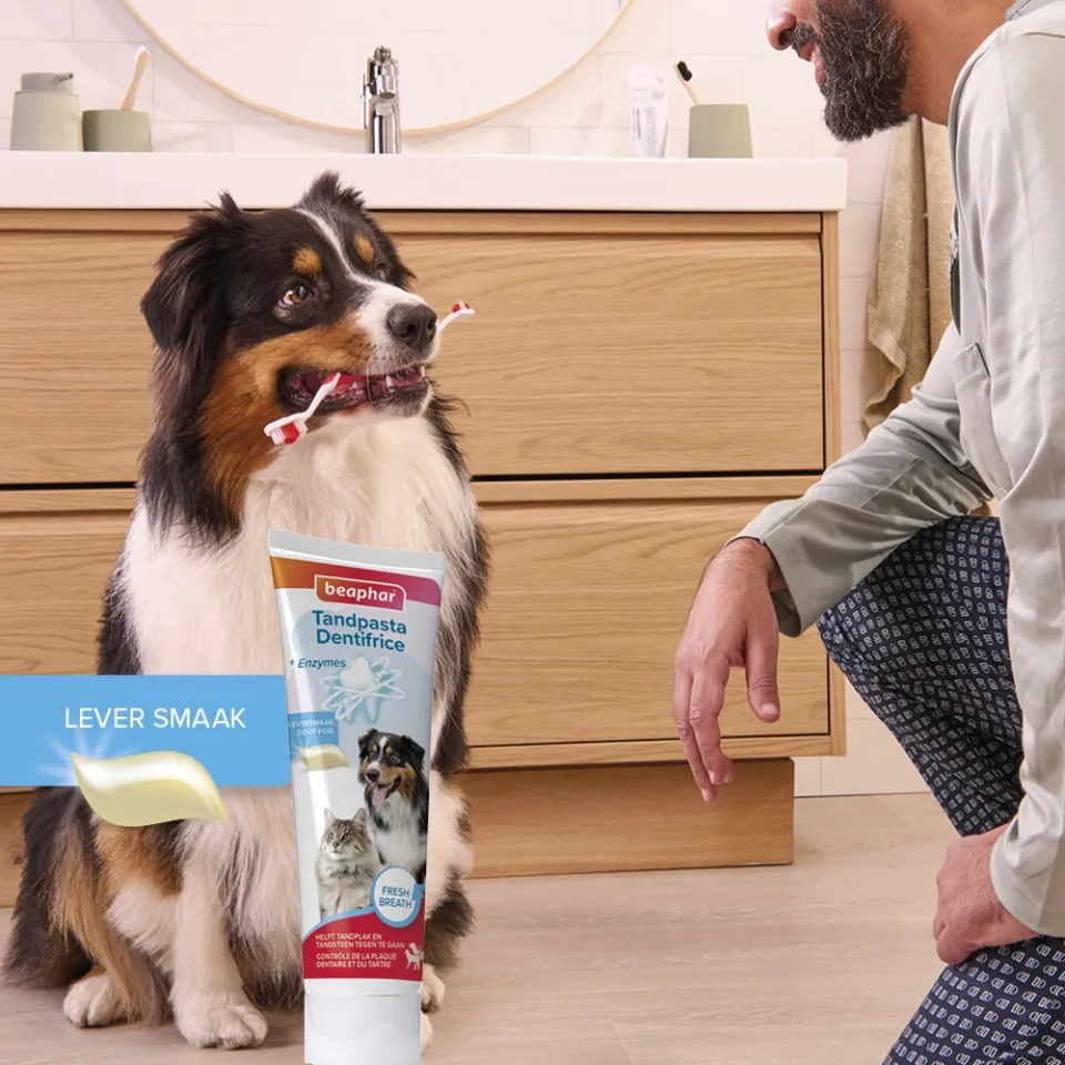 Beaphar tandpasta voor hond en kat, foto 5
