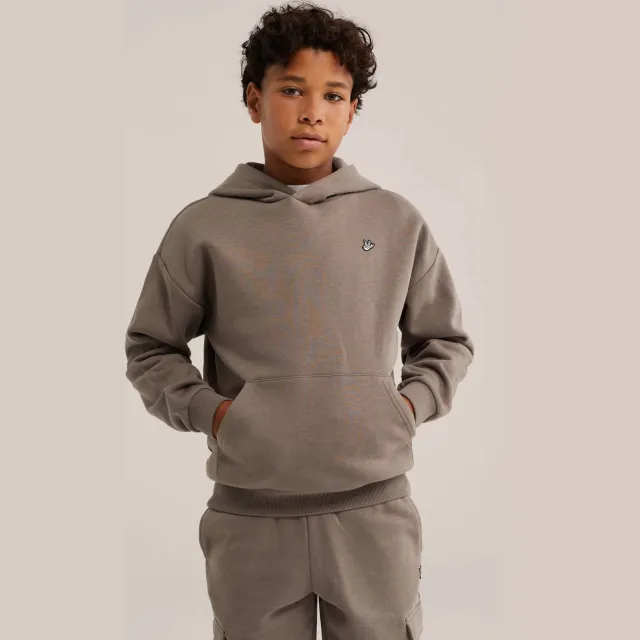 WE Fashion sweat hoodie - taupe