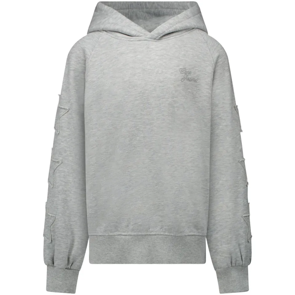 Cars hoodie met logo - grijs, foto 2