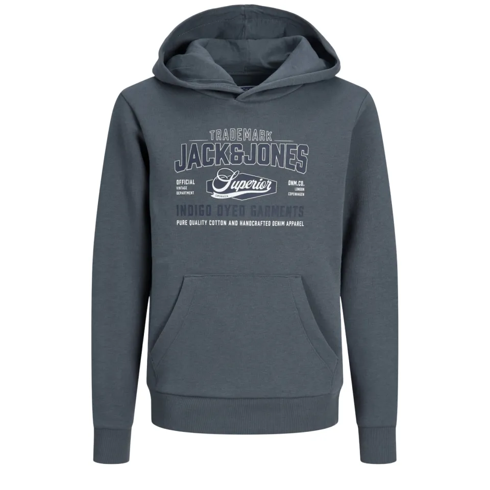 Jack & Jones JUNIOR hoodie met logo - grijsblauw, foto 2