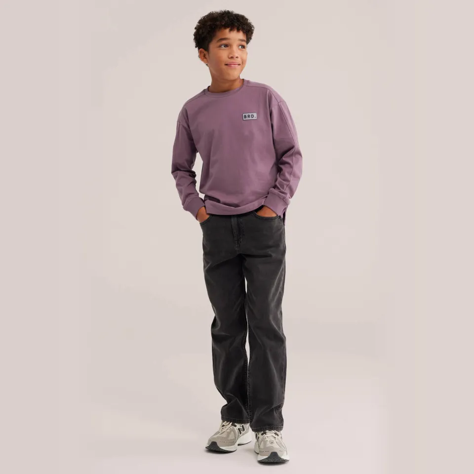 WE Fashion Blue Ridge longsleeve paars
