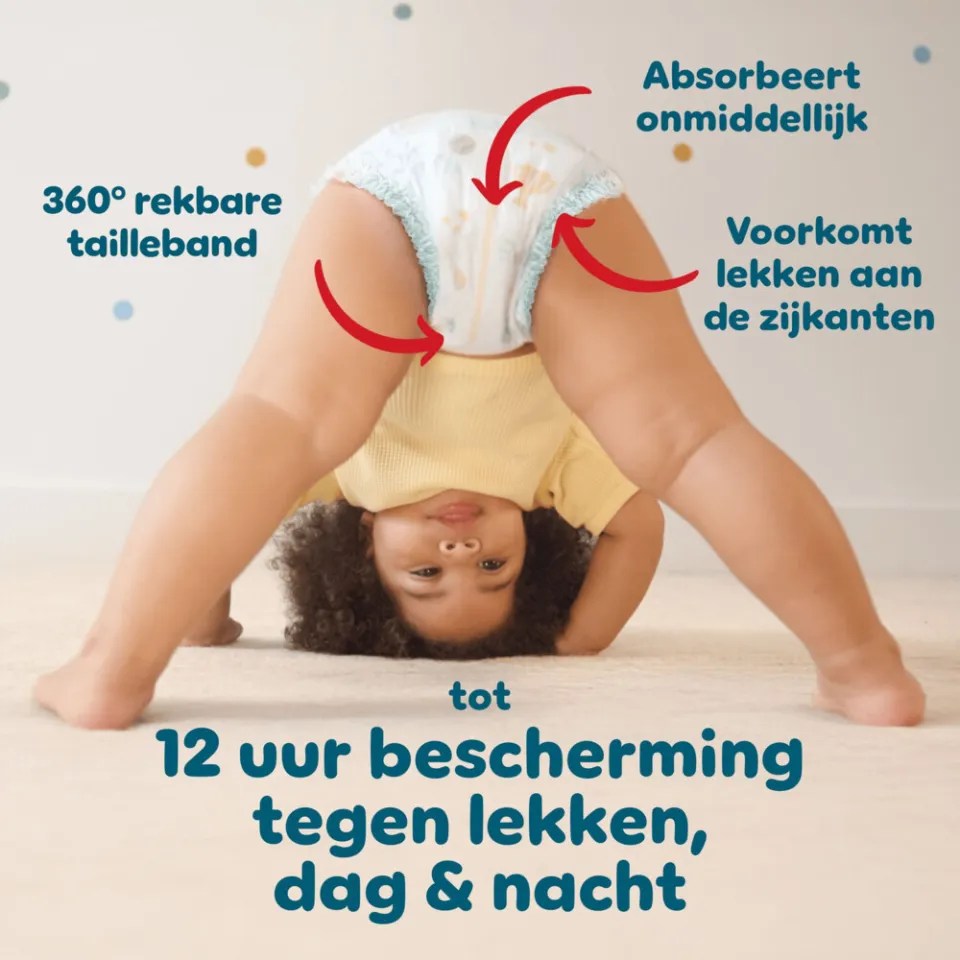 Pampers Baby-Dry luierbroekjes maat 8 117 stuks, foto 6