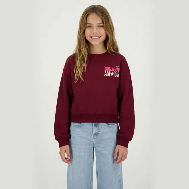Cars sweater met backprint - donkerrood/roze