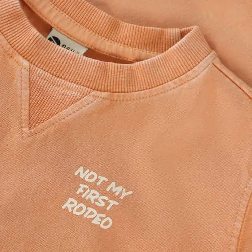 Daily7 T-shirt oranje, foto 3