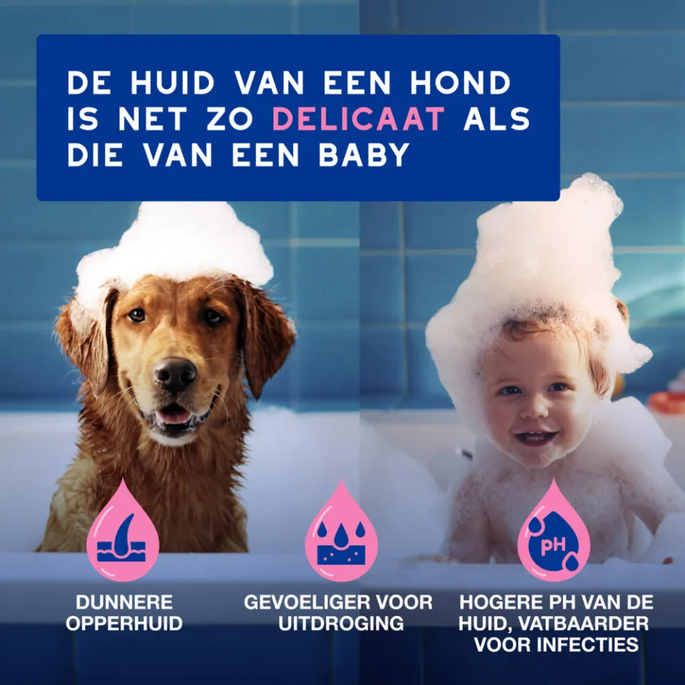 Douxo Spa shampoo geprikkelde huid hond 250 ml, foto 3