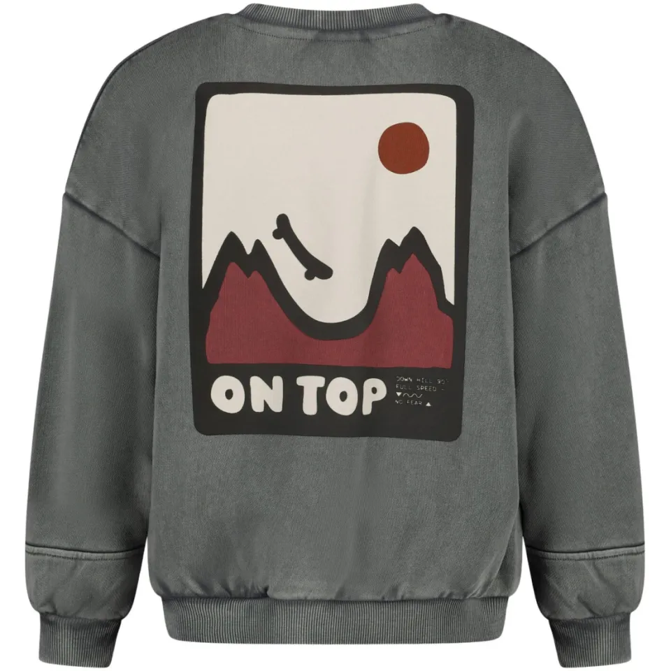 Sturdy oversized sweater Mountain top met backprint grijs/wit/oudroze, foto 4