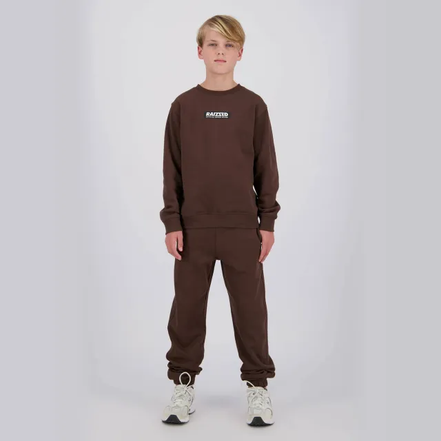 Raizzed regular fit joggingbroek camel