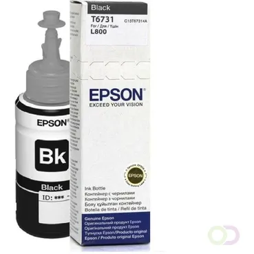 Epson T6731, 70 ml, zwart, origineel, in