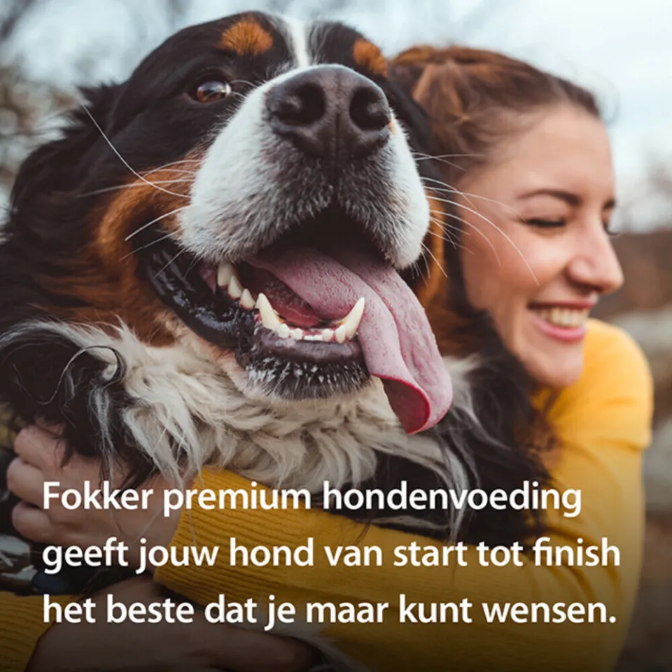 Fokker Weight-Fit Light & Sterilised hondenvoer, foto 4