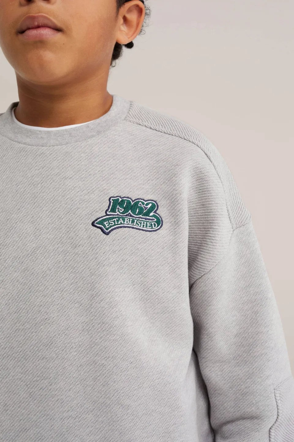 WE Fashion sweater met patches - lichtgrijs, foto 6