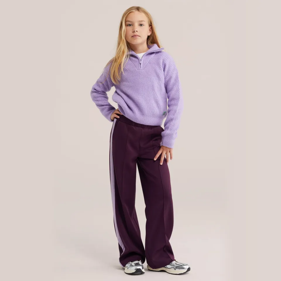 WE Fashion loose fit joggingbroek aubergine Aubergine/lichtpaars