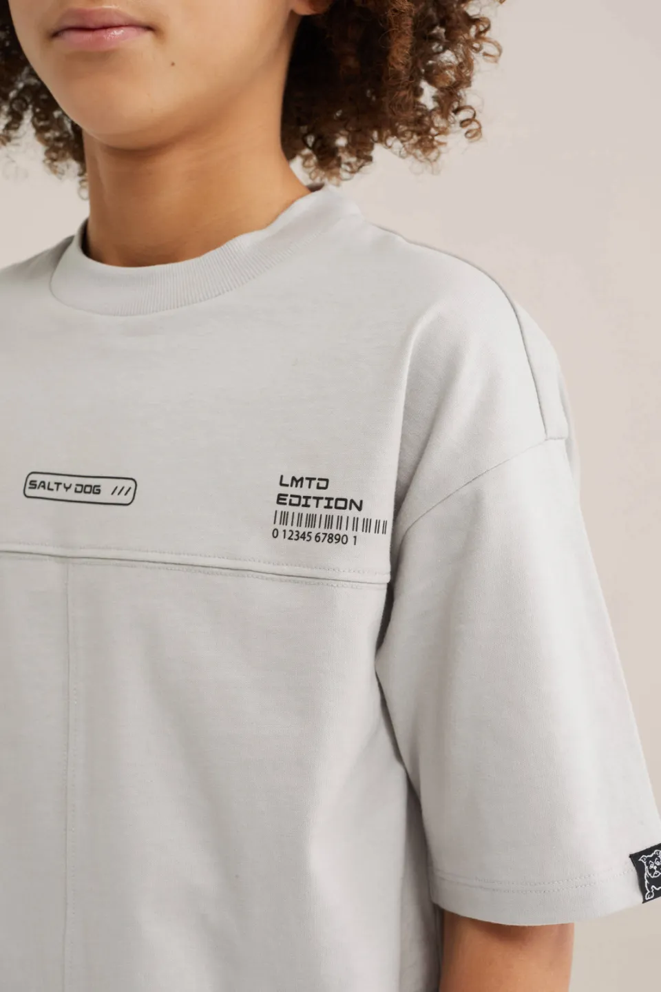 WE Fashion Salty Dog T-shirt lichtgrijs, foto 5