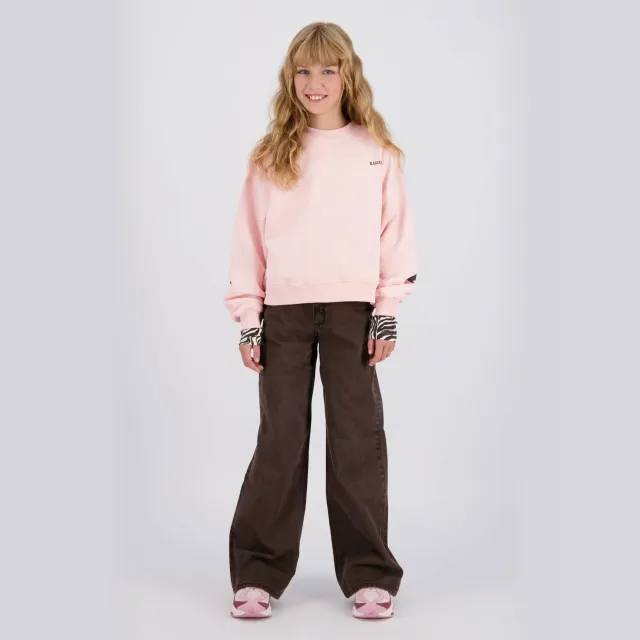 Raizzed Monaco Color wide leg jeans - bruin Hazel Brown