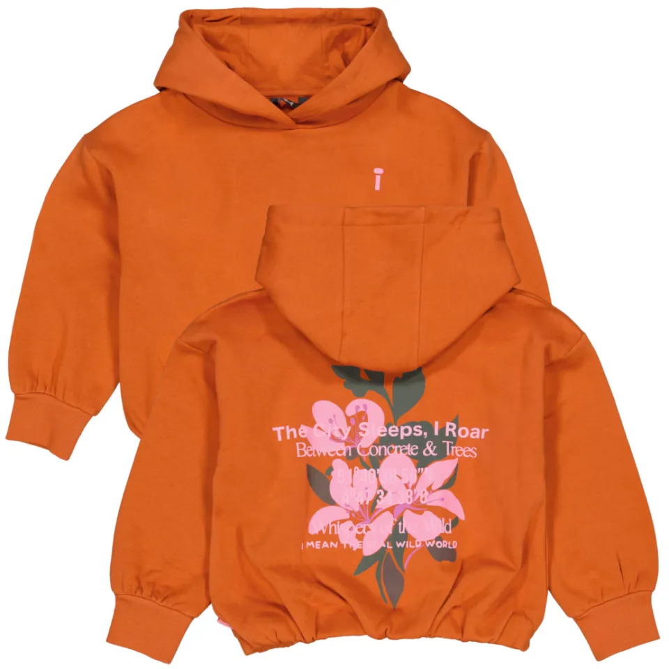 QPI hoodie met backprint - oranje, foto 3