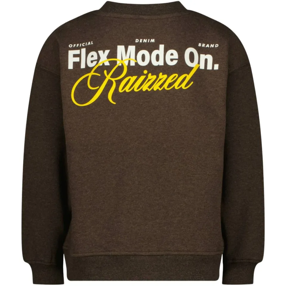 Raizzed oversized sweater met backprint - bruin, foto 3