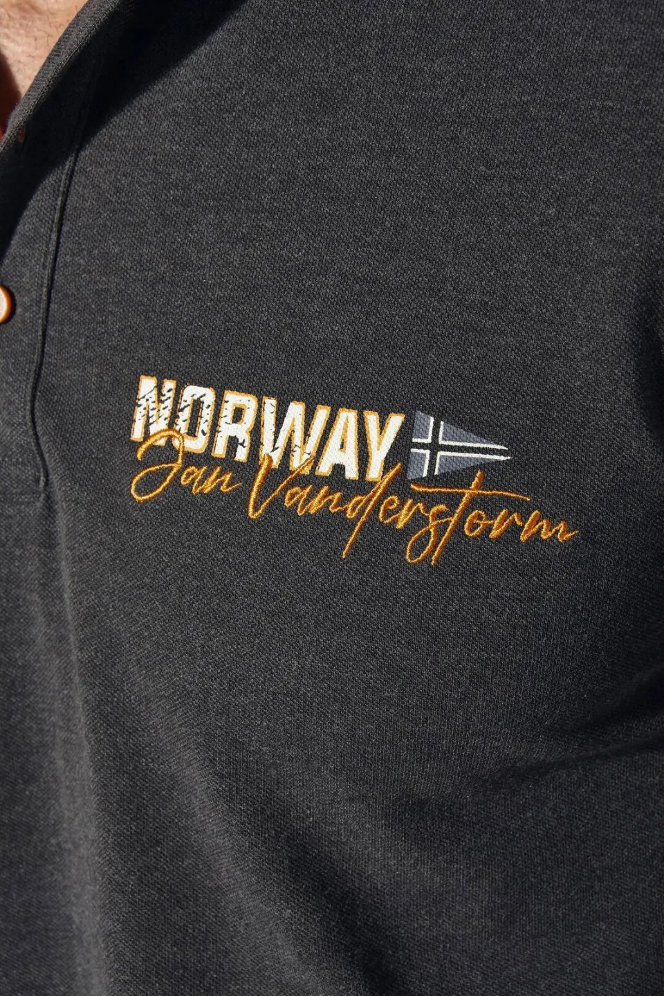 Jan Vanderstorm polo Plus Size JAKOV grijs, foto 4